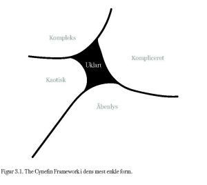 Ledelsesmæssig fleksibilitet og Cynefin- INTO THE GREY