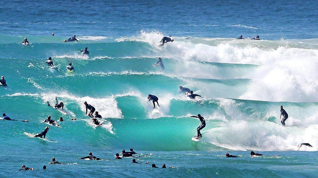 Surfer's Paradise, om diversitet - INTO THE GREY